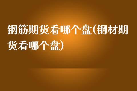钢筋期货看哪个盘(钢材期货看哪个盘)_https://www.xmqjcw.com_期货百科_第1张