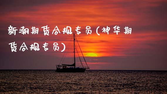 新潮期货合规专员(神华期货合规专员)_期货百科_第1张_秦聚理财 新潮期货合规专员(神华期货合规专员)_https://www.xmqjcw.com_期货百科_第1张