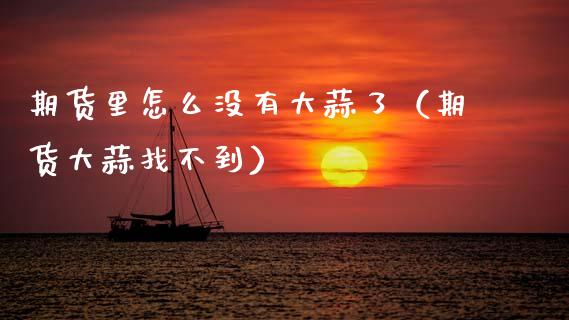 期货里怎么没有大蒜了（期货大蒜找不到）_https://www.xmqjcw.com_期货直播室_第1张