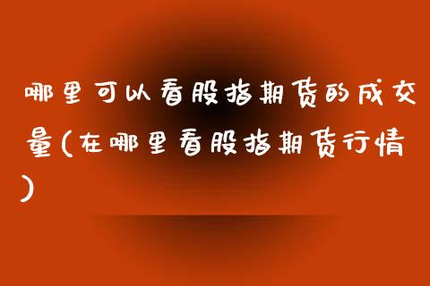 哪里可以看股指期货的成交量(在哪里看股指期货行情)_https://www.xmqjcw.com_期货百科_第1张
