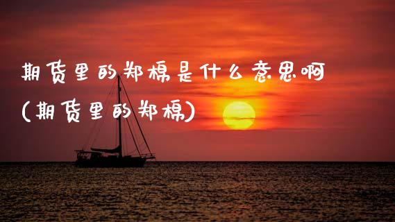 期货里的郑棉是什么意思啊(期货里的郑棉)_https://www.xmqjcw.com_期货直播室_第1张