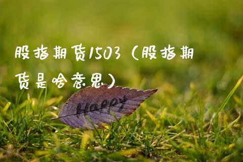 股指期货1503（股指期货是啥意思）_https://www.xmqjcw.com_期货行情_第1张