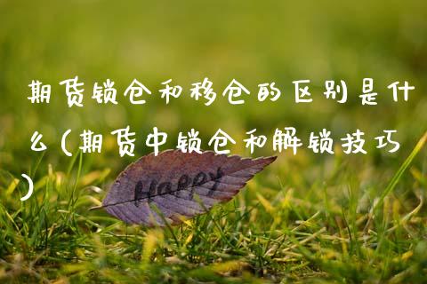 期货锁仓和移仓的区别是什么(期货中锁仓和解锁技巧)_https://www.xmqjcw.com_期货百科_第1张