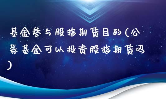 基金参与股指期货目的(公募基金可以投资股指期货吗)_https://www.xmqjcw.com_期货百科_第1张