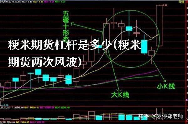 粳米期货杠杆是多少(粳米期货两次风波)_https://www.xmqjcw.com_期货开户_第1张