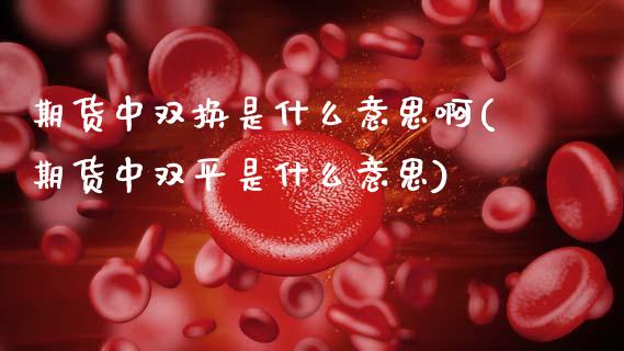 期货中双换是什么意思啊(期货中双平是什么意思)_https://www.xmqjcw.com_期货行情_第1张