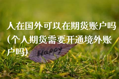 人在国外可以在期货账户吗(个人期货需要开通境外账户吗)_https://www.xmqjcw.com_期货百科_第1张