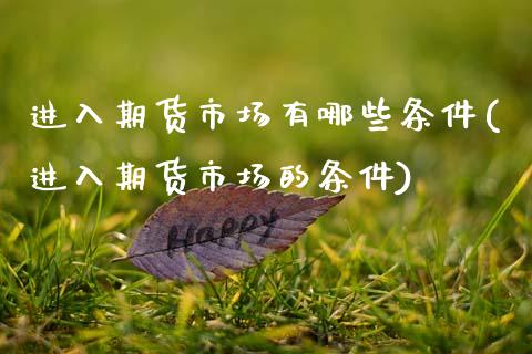 进入期货市场有哪些条件(进入期货市场的条件)_https://www.xmqjcw.com_股票投资_第1张
