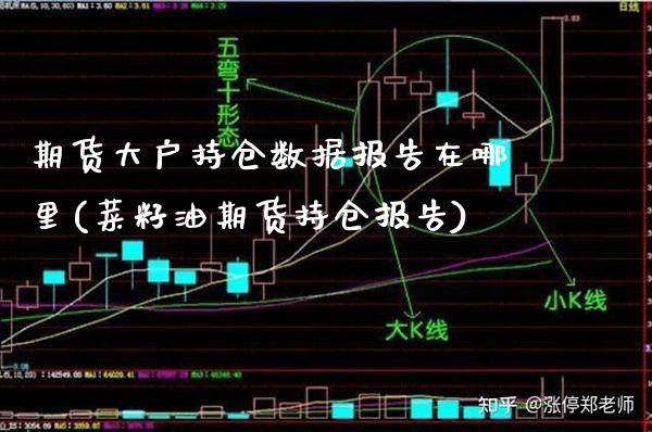 期货大户持仓数据报告在哪里(菜籽油期货持仓报告)_https://www.xmqjcw.com_期货百科_第1张