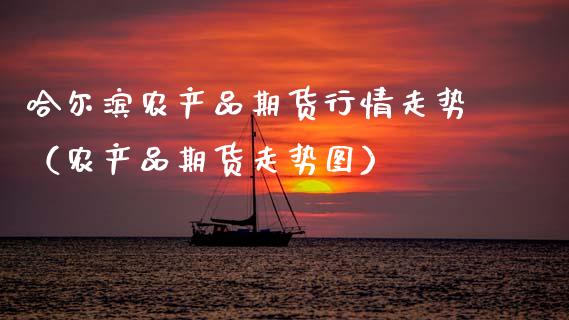 哈尔滨农产品期货行情走势（农产品期货走势图）_https://www.xmqjcw.com_期货直播室_第1张