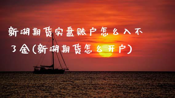 新湖期货实盘账户怎么入不了金(新湖期货怎么开户)_https://www.xmqjcw.com_期货投资_第1张
