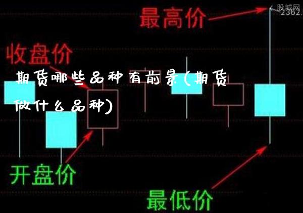 期货哪些品种有前景(期货做什么品种)_期货百科_第1张_秦聚理财 期货哪些品种有前景(期货做什么品种)_https://www.xmqjcw.com_期货百科_第1张