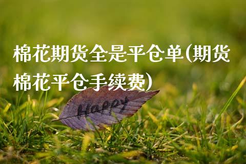 棉花期货全是平仓单(期货棉花平仓手续费)_https://www.xmqjcw.com_期货百科_第1张