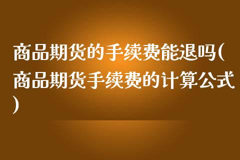 商品期货的手续费能退吗(商品期货手续费的计算公式)_https://www.xmqjcw.com_期货百科_第1张