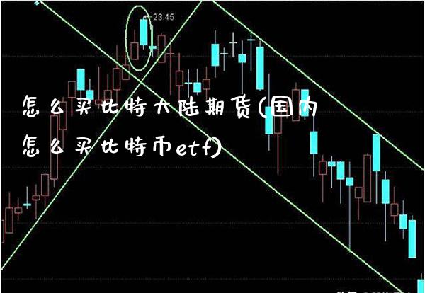 怎么买比特期货(国内怎么买比特币etf)_https://www.xmqjcw.com_期货百科_第1张