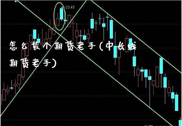 怎么装个期货老手(中长线期货老手)_https://www.xmqjcw.com_期货百科_第1张