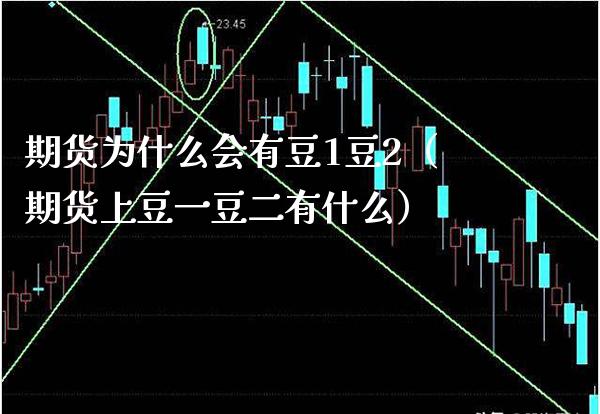 期货为什么会有豆1豆2（期货上豆一豆二有什么）_https://www.xmqjcw.com_期货投资_第1张