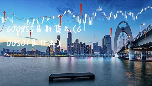 600955是期货么(600501是什么)_https://www.xmqjcw.com_期货百科_第1张