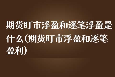期货盯市浮盈和逐笔浮盈是什么(期货盯市浮盈和逐笔盈利)_https://www.xmqjcw.com_期货百科_第1张