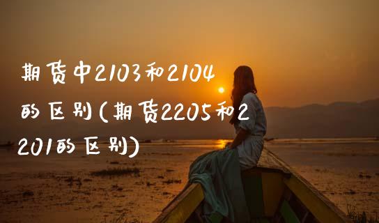 期货中2103和2104的区别(期货2205和2201的区别)_https://www.xmqjcw.com_期货百科_第1张
