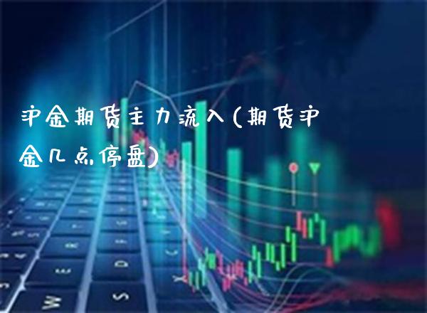 沪金期货主力流入(期货沪金几点停盘)_https://www.xmqjcw.com_股票投资_第1张