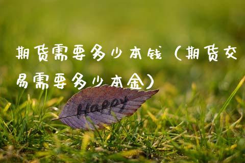期货需要多少本钱（期货交易需要多少本金）_https://www.xmqjcw.com_期货投资_第1张