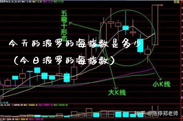 今天的波罗的海指数是多少（今日波罗的海指数）_https://www.xmqjcw.com_期货行情_第1张