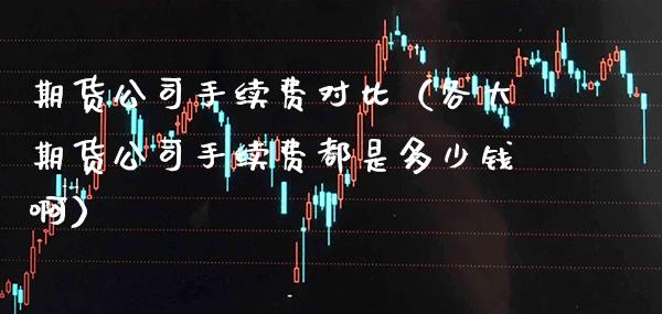 期货公司手续费对比（各大期货公司手续费都是多少钱啊）_https://www.xmqjcw.com_期货行情_第1张