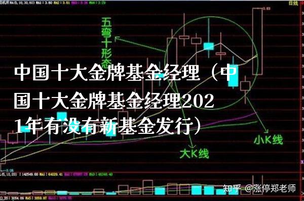 中国十大金牌基金经理（中国十大金牌基金经理2021年有没有新基金发行）_https://www.xmqjcw.com_基金理财_第1张