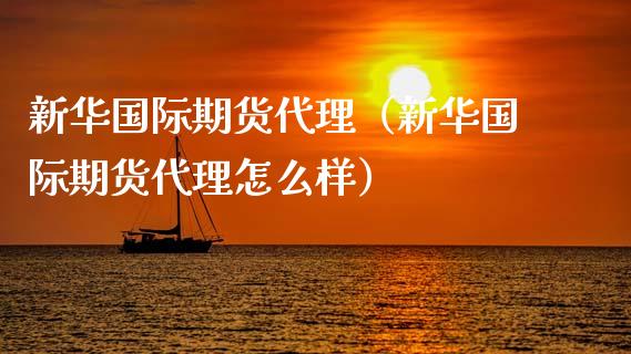 新**际期货代理（新**际期货代理怎么样）_https://www.xmqjcw.com_期货直播室_第1张