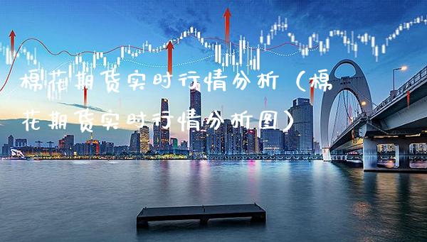 棉花期货实时行情分析（棉花期货实时行情分析图）_https://www.xmqjcw.com_期货投资_第1张