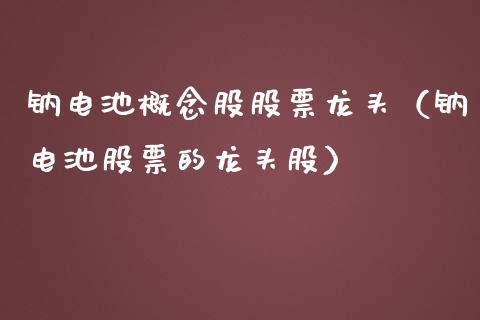 钠电池概念股股票龙头（钠电池股票的龙头股）_https://www.xmqjcw.com_股票投资_第1张