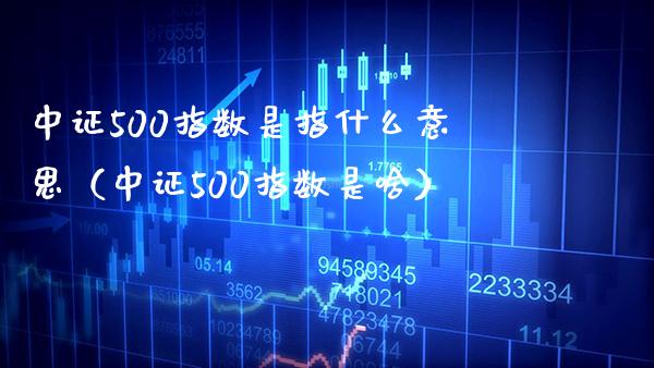 中证500指数是指什么意思（中证500指数是啥）_https://www.xmqjcw.com_期货直播室_第1张