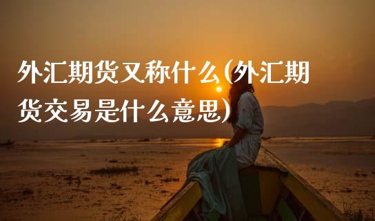 外汇期货又称什么(外汇期货交易是什么意思)_https://www.xmqjcw.com_期货百科_第1张