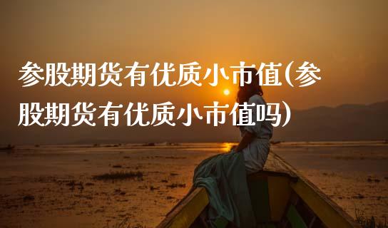 参股期货有优质小市值(参股期货有优质小市值吗)_https://www.xmqjcw.com_期货开户_第1张