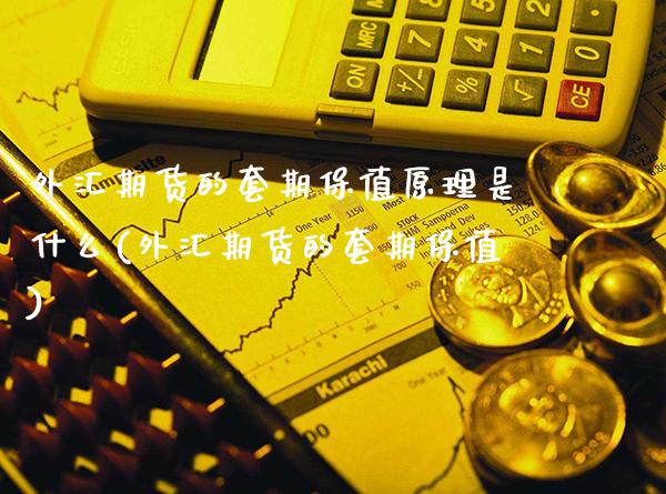 外汇期货的套期保值原理是什么(外汇期货的套期保值)_https://www.xmqjcw.com_基金理财_第1张
