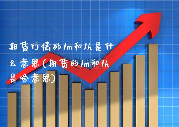 期货行情的1m和1h是什么意思(期货的1m和1h是啥意思)_https://www.xmqjcw.com_期货投资_第1张