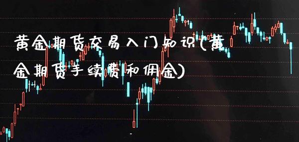 黄金期货交易入门知识(黄金期货手续费和佣金)_https://www.xmqjcw.com_期货直播室_第1张