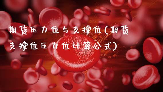 期货压力位与支撑位(期货支撑位压力位计算公式)_https://www.xmqjcw.com_期货百科_第1张