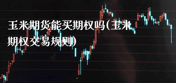 玉米期货能买期权吗(玉米期权交易规则)_https://www.xmqjcw.com_期货百科_第1张