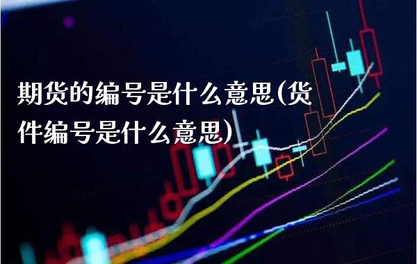 期货的编号是什么意思(货件编号是什么意思)_https://www.xmqjcw.com_股票投资_第1张