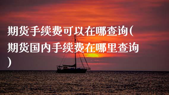 期货手续费可以在哪查询(期货国内手续费在哪里查询)_https://www.xmqjcw.com_期货百科_第1张