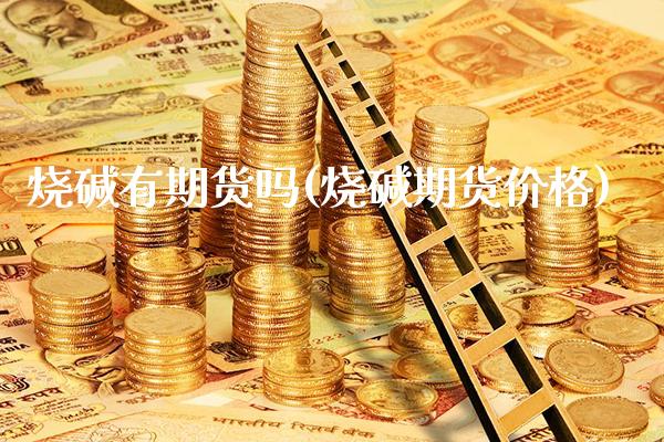 烧碱有期货吗(烧碱期货价格)_https://www.xmqjcw.com_期货直播室_第1张