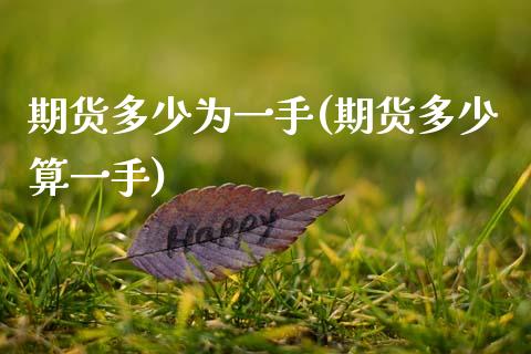 期货多少为一手(期货多少算一手)_https://www.xmqjcw.com_期货开户_第1张