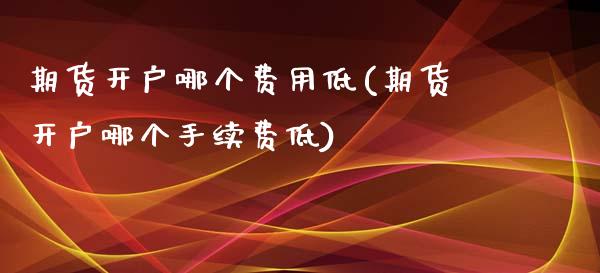 期货开户哪个费用低(期货开户哪个手续费低)_https://www.xmqjcw.com_期货百科_第1张