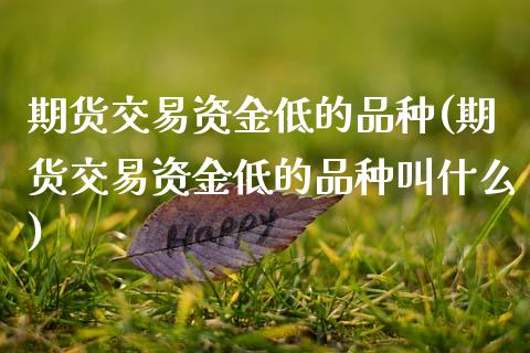 期货交易资金低的品种(期货交易资金低的品种叫什么)_https://www.xmqjcw.com_期货百科_第1张