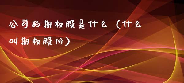 公司的期权股是什么（什么叫期权股份）_https://www.xmqjcw.com_期货直播室_第1张