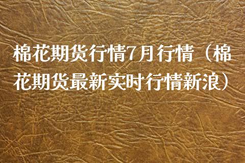 棉花期货行情7月行情（棉花期货最新实时行情新浪）_https://www.xmqjcw.com_期货投资_第1张