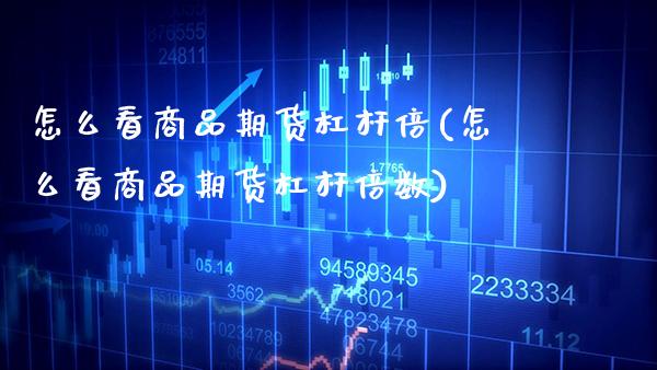怎么看商品期货杠杆倍(怎么看商品期货杠杆倍数)_https://www.xmqjcw.com_基金理财_第1张