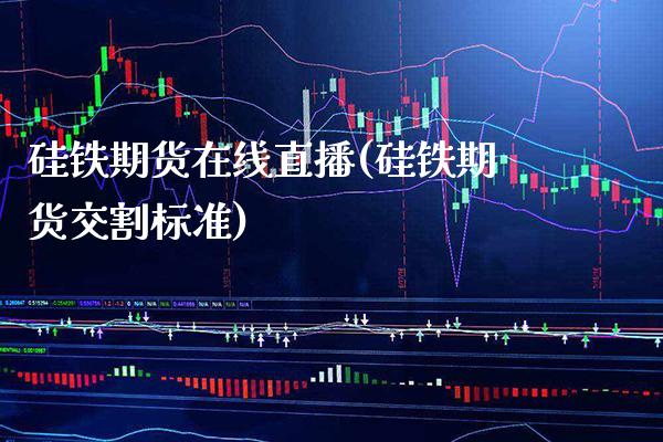 硅铁期货在线直播(硅铁期货交割标准)_https://www.xmqjcw.com_期货百科_第1张